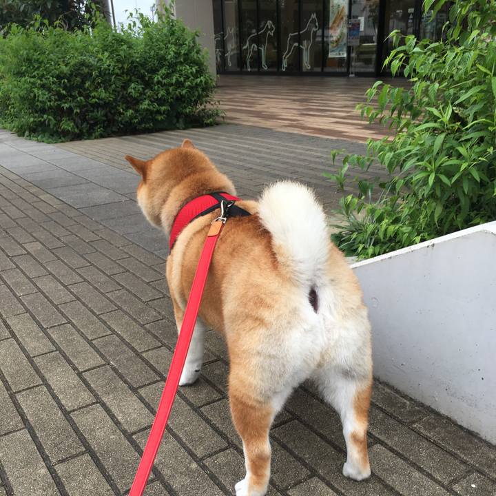 9dee632a b2e0 4eae 8ba1 0163f5989b80 1595920710853