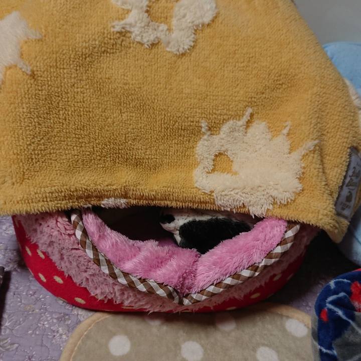 9dee80ef f0ac 4e40 af08 4d820dcca79e 1556461592832