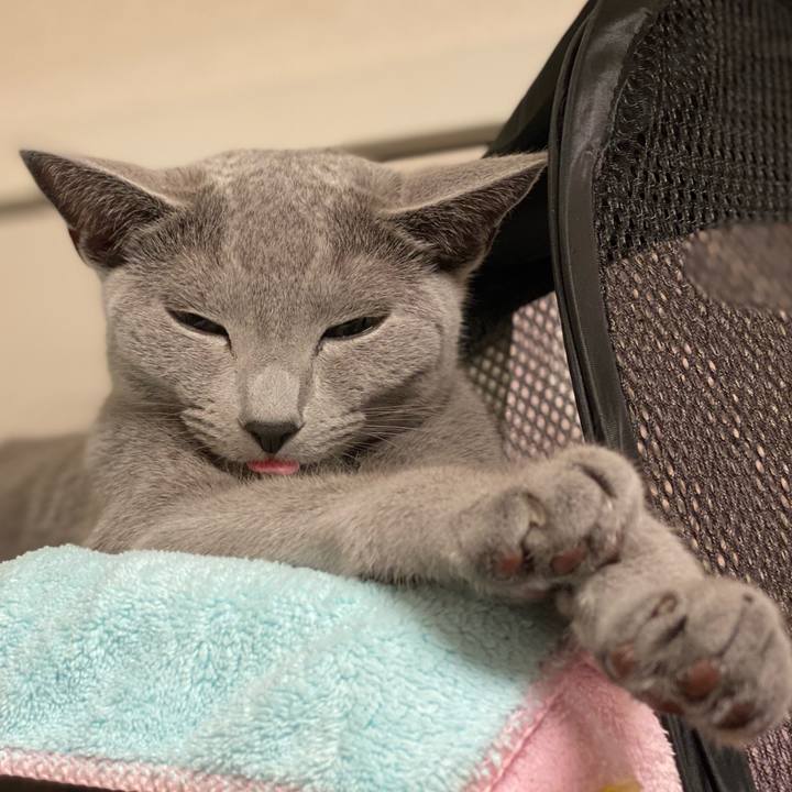 9deea235 0ff1 4b5a a770 5c59fc6b75e2 1627822568653