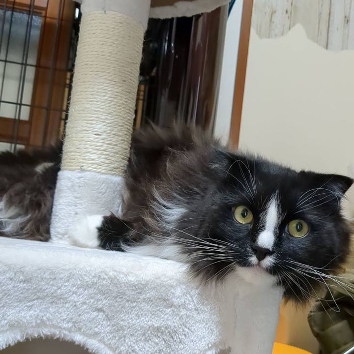 9deeb519 1ef8 4b02 8945 991cf7f181d3 1683325290041