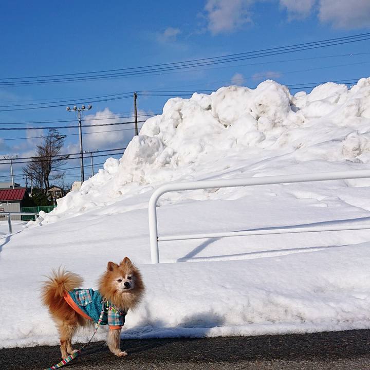 9deed588 ae8f 4a6c a1d4 b664d730cf53 1612522161422