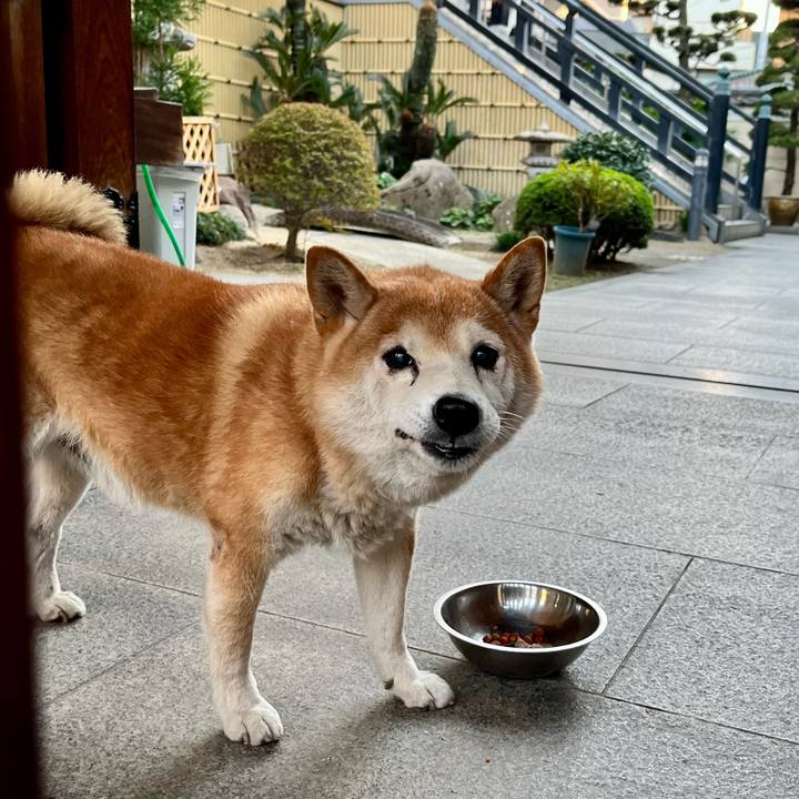 9deed88b 8f5f 4587 9d4f 5fda39fa5286 1667118416005