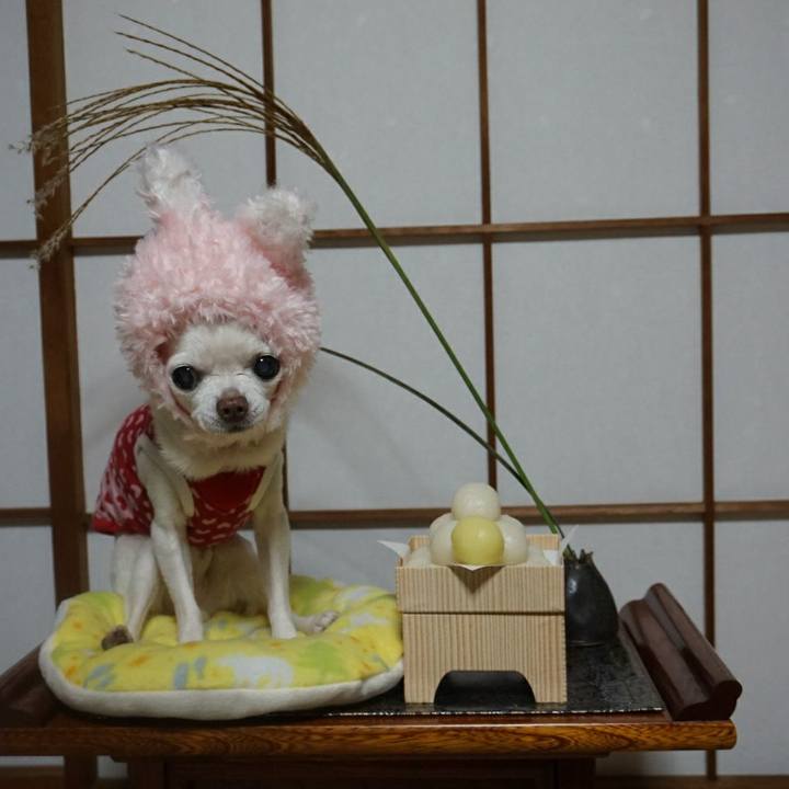 9deedaac 3119 41eb a8d9 7640390dc382 1537779502222