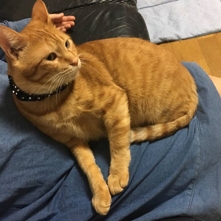 9deeeb44 8f14 46ba b3e1 624ce0819b96 1540298055621