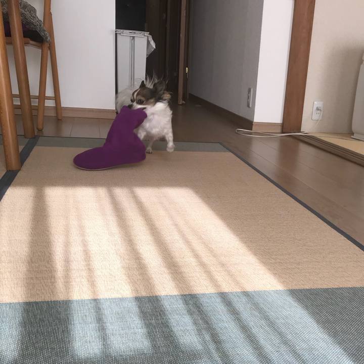 9def452d eeb6 4926 85db 3c56b8d1e0ee 1510198979987