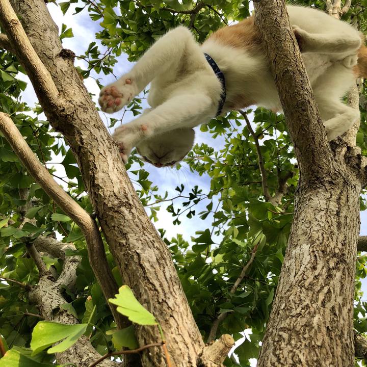 9def4e3c 92a4 486d 8420 1ef6a323274c 1539585491658