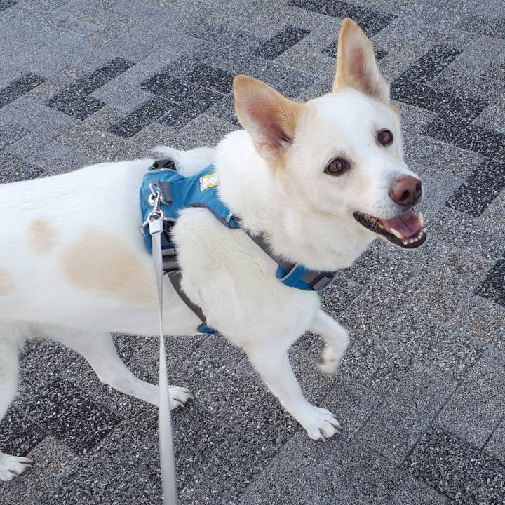 9def5e76 f201 451b a763 c7ec324166c6 1670477208911