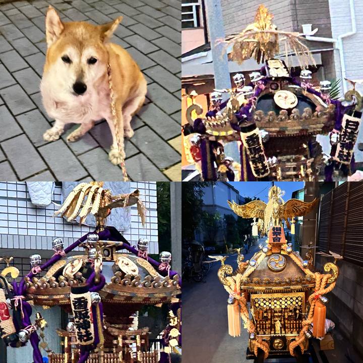 9def7769 0d24 4821 95b7 3277b9dd06dd 1760262094228