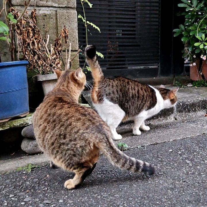 9def8469 038e 44d2 add1 d43c57ea8b3f 1701600017333