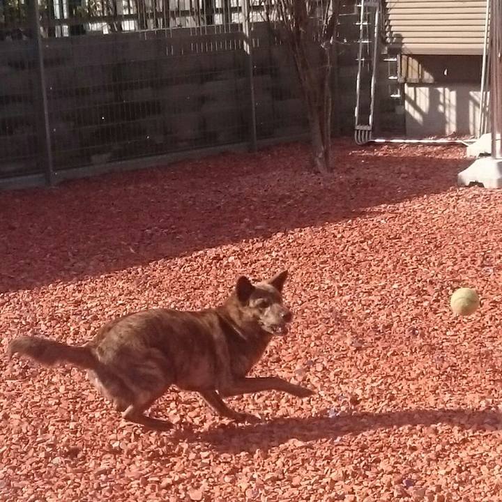 9def964f 3ced 4a1d 9dbf 06c5f900297d 1518335529825