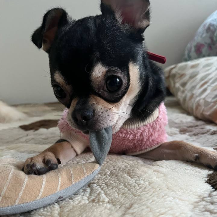 9defa672 bc51 49b4 b866 4162dc936178 1739175870526