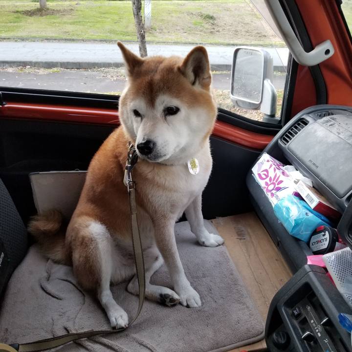 9defaea4 834c 4872 acf9 b7682d04985d 1666683258395