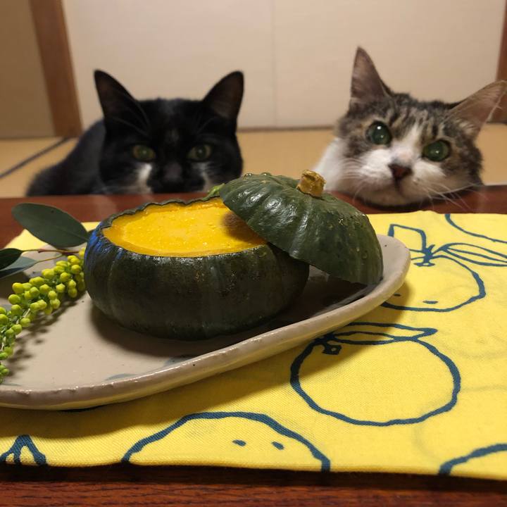 9defbd5a c393 4cbd a642 37aa431bd954 1576973859366