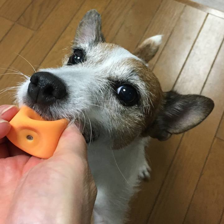 9defc255 9e46 4be4 a597 8981f31a9a7c 1630716311637