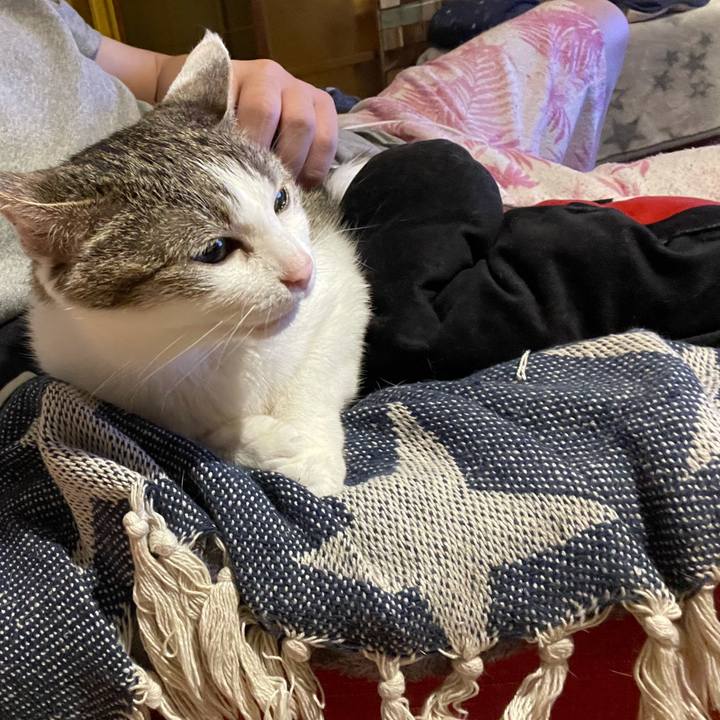 9defe8ff 21ec 48d1 b0b4 0757f6f47643 1625569083847