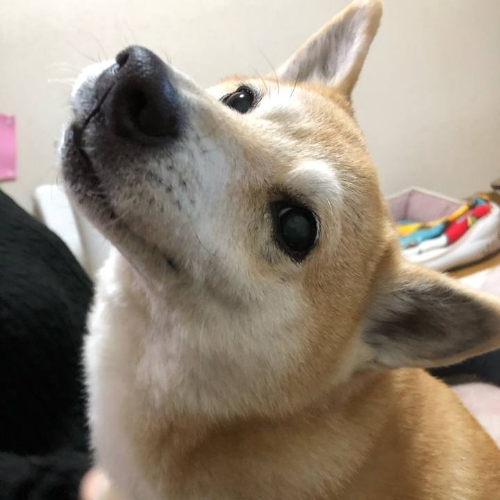 9deff5db e633 41b2 9101 a1c225b51bda 1580620532225