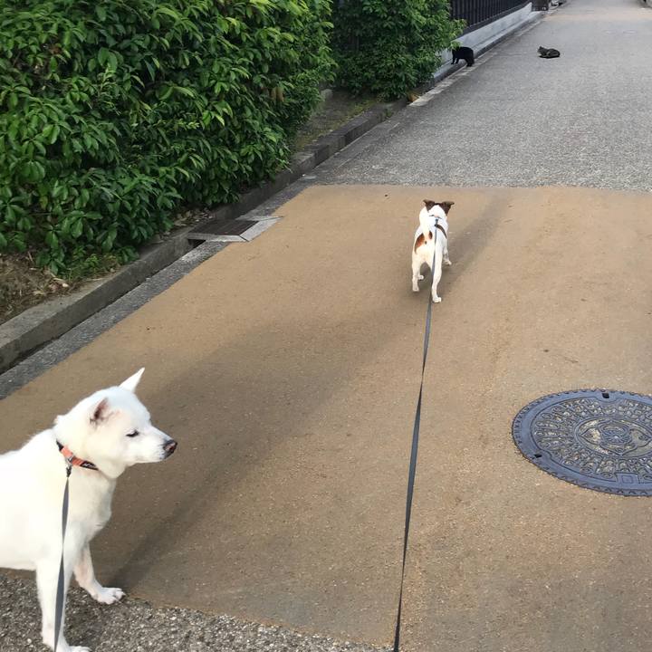 9df06312 df42 4c14 875b 5a3d3ff04547 1525354435611