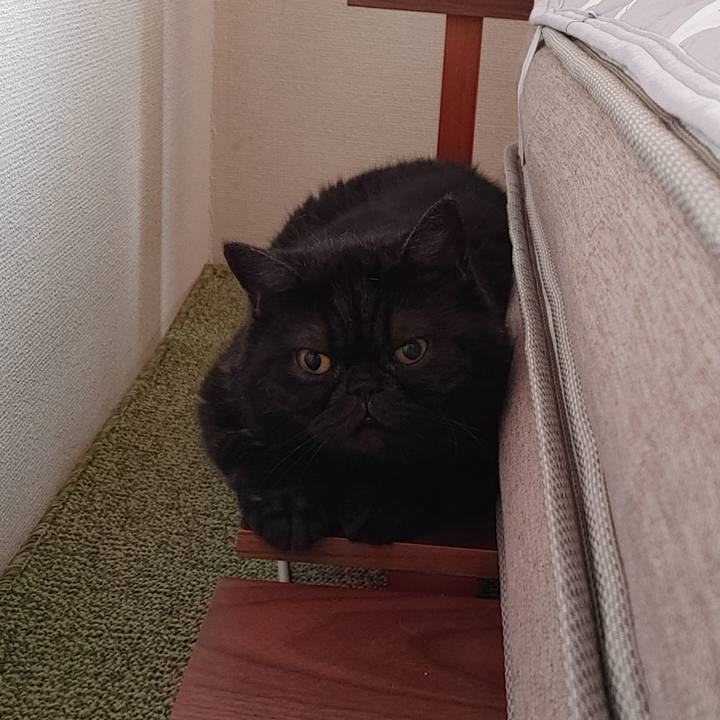 9df09122 cd67 4288 b57b e4a28736c0d7 1627682157714