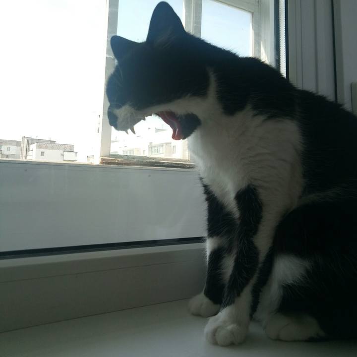 9df0e23f eae9 47f1 9d03 e5f2365e3915 1559477943044