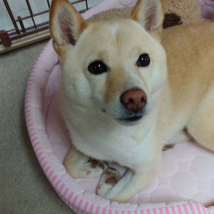 9df0e9f4 98a0 4e20 b3c8 6d11d33a020e 1589843294986