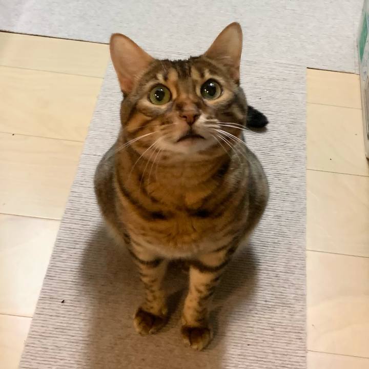 9df0fbe7 a4cb 4e34 8ffd b6ff63f9bcf8 1629931849315