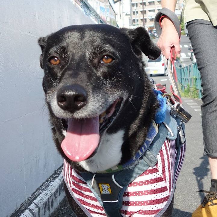 9df1642d 2121 4133 b4e7 48c426a7b745 1718843510763