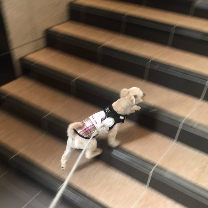 9df191fa e411 4609 968f 3e597bd8a2ef 1533945238362