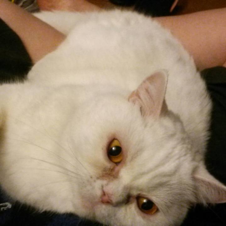 9df19275 5d2e 4cb5 a474 4515f516188a 1588977362234