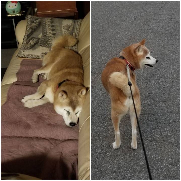 9df1a88f 48f8 47e1 aa4e 00b3f26eaebb 1758963042934