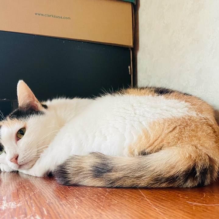 9df1fbe8 7e38 456b 854e f2b7c0517b3d 1662344588161