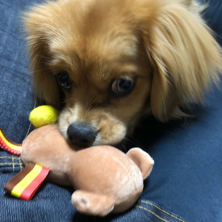 9df21af8 faa8 4f0c aa9d abb4d26ee3f1 1519942461835