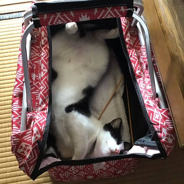 9df22fec 3aa0 4cc7 9669 f2dd06bc00c3 1633417822202