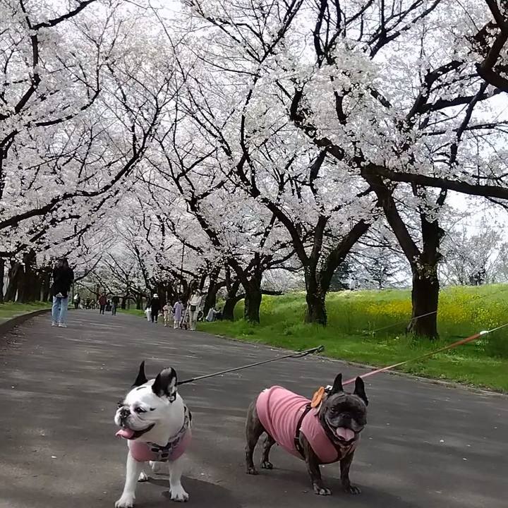 9df28109 37e2 47a0 8b21 21dde72af61d 1712465813574