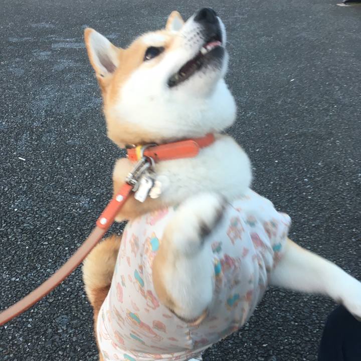 9df28a10 db89 4ca3 9869 95a7cff1565e 1551781740669