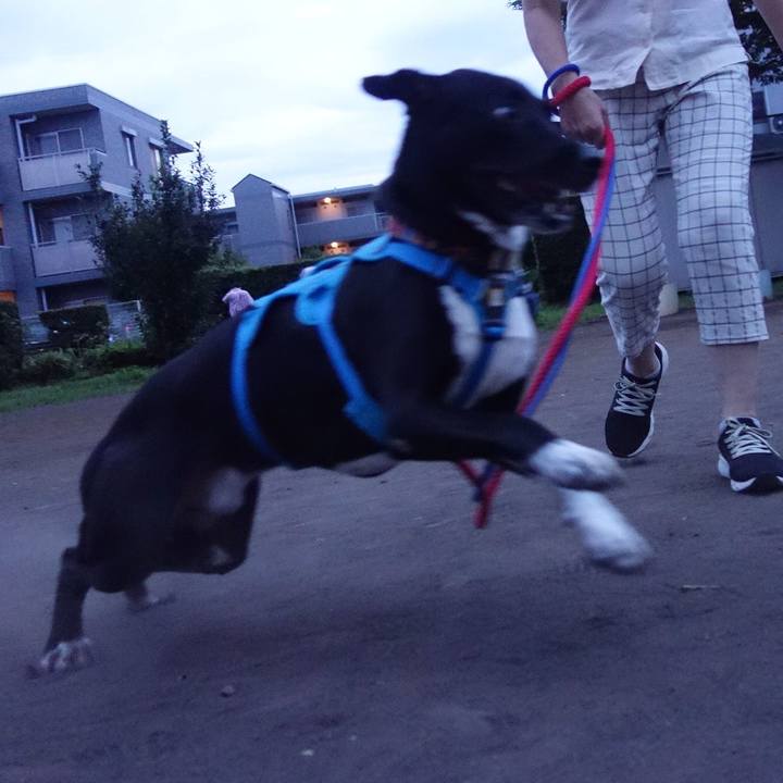 9df28cac 5f9e 43e4 bc37 550c8d778ee7 1629543045667