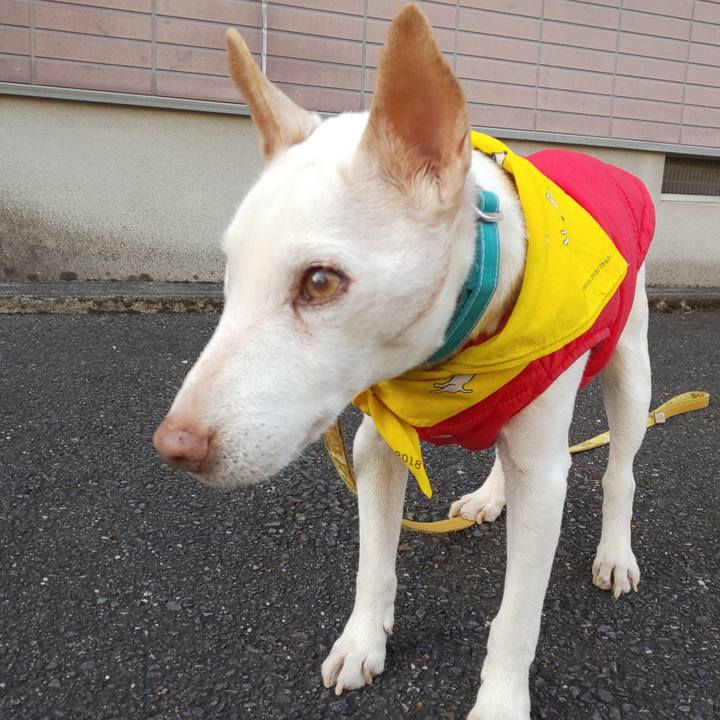 9df2c479 1315 4fe7 95e4 0ad5645354ce 1543731746131