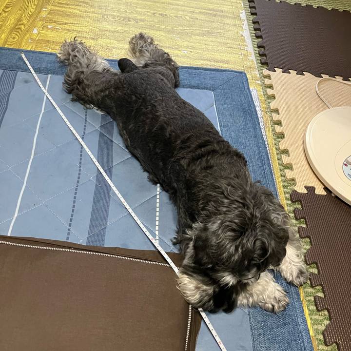 9df2e802 9eed 4755 a9cc c40700a38e28 1721449369612