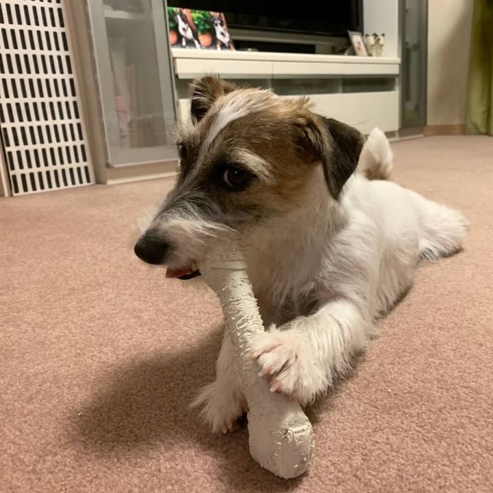 9df2f3f3 04e5 404a 8c2d 1cc95eb8cab1 1573979533851