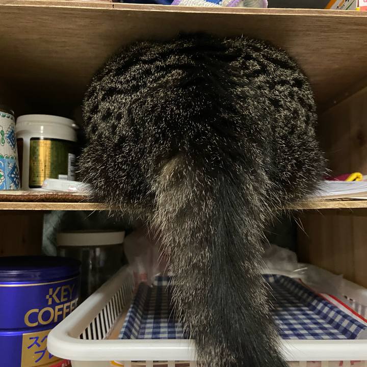 9df3202c f225 4c01 84b6 b12a3ec9095b 1633604729388