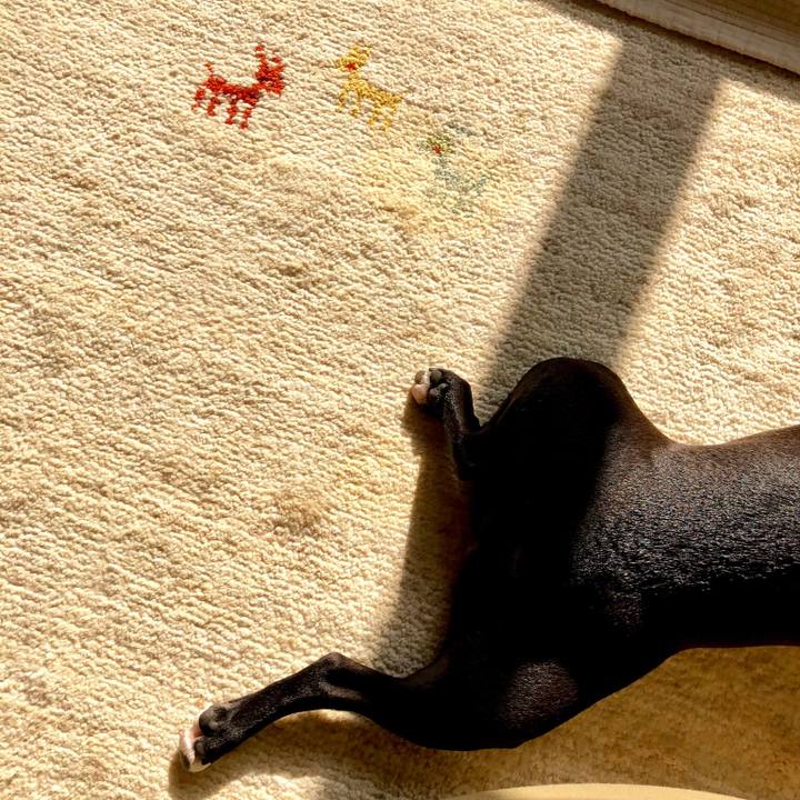 9df37a9a 7be3 4817 a65a 62712b966e43 1524869564113