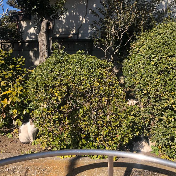 9df3889b 1f32 40b5 a882 aa1dd0893859 1644764149508