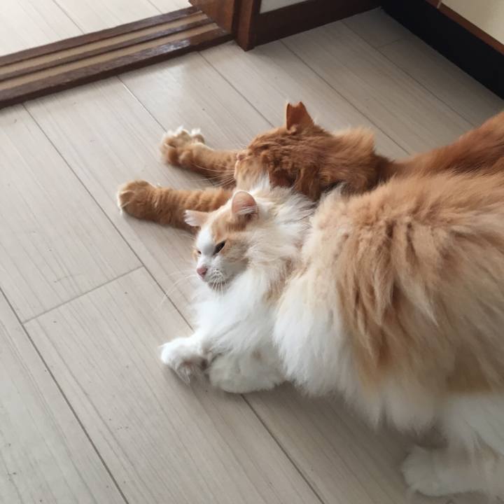 9df3b89f 489f 4142 ab63 2d2f722d5690 1523484845721