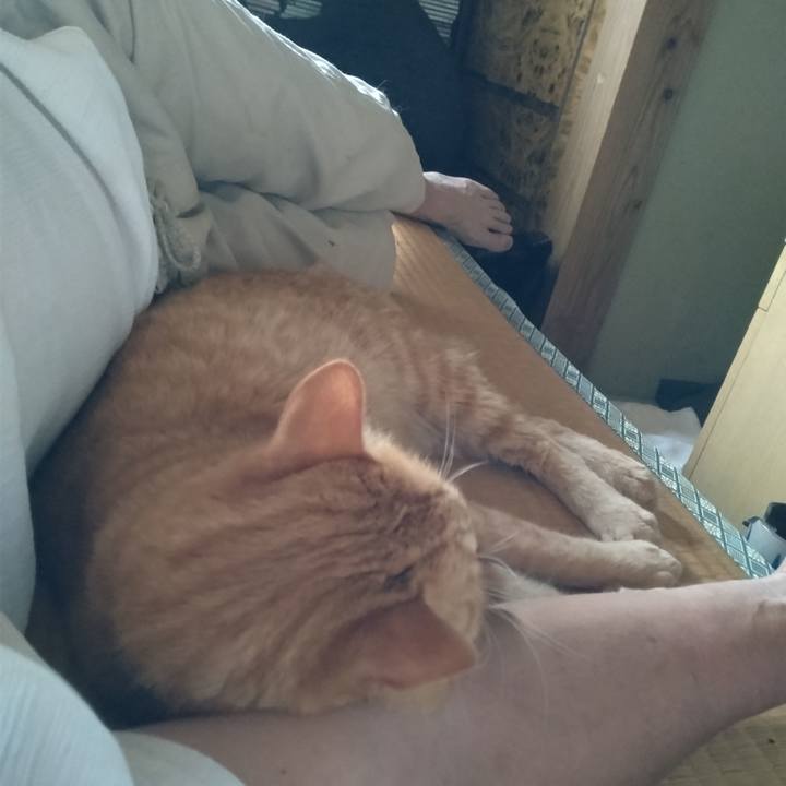 9df3ccd6 710a 489e 86bf fb790e24e6e2 1721986113734