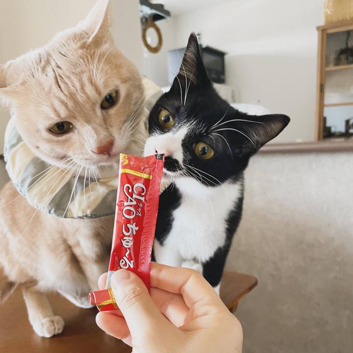 9df3eeb9 0afa 408c 83fe f5eeb752e87e 1708923177268