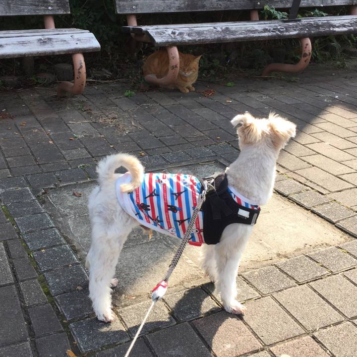 9df40e06 523e 4282 9d3b 5d5fee6cdf14 1540704738183