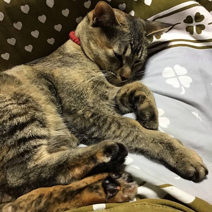 9df432f7 7299 4322 95e7 1c157fd77436 1585561824849