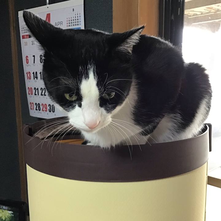 9df44809 89f3 49bb b33d a99cde3c7194 1744976497666