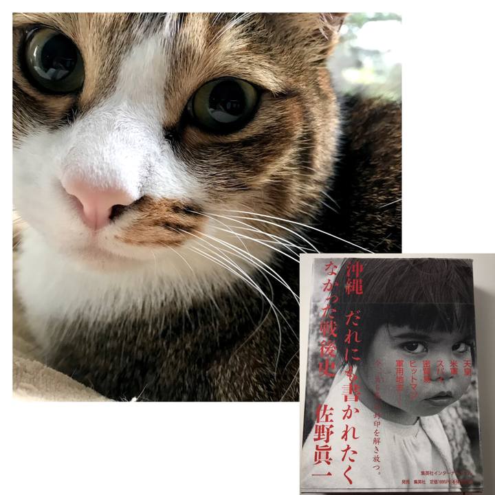 9df4a0b5 b5c7 4e3e 8c6a 758e4131776a 1551143448878