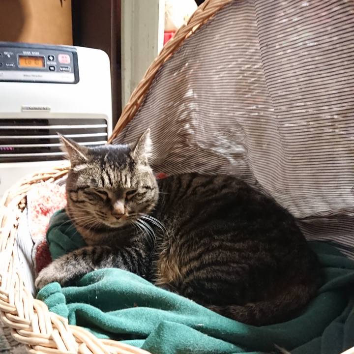 9df4bfeb e409 4787 b289 727f794d1ac9 1641992404401