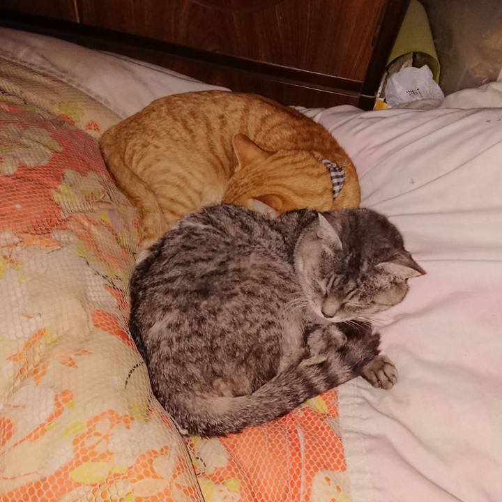 9df4c20d bd56 44f8 a49a 3a9fbb46754f 1575038612984